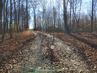 Property photo 24 - REAL ESTATE AUCTION - 30+/- ACRES OFFERED IN 2 TRACTS IN ALLEN COUNTY, INDIANA