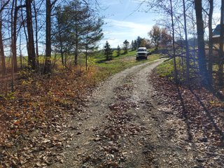 Property photo 25 - REAL ESTATE AUCTION - 30+/- ACRES OFFERED IN 2 TRACTS IN ALLEN COUNTY, INDIANA