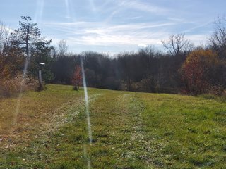 Property photo 28 - REAL ESTATE AUCTION - 30+/- ACRES OFFERED IN 2 TRACTS IN ALLEN COUNTY, INDIANA
