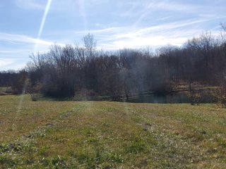 Property photo 29 - REAL ESTATE AUCTION - 30+/- ACRES OFFERED IN 2 TRACTS IN ALLEN COUNTY, INDIANA