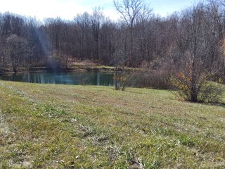 Property photo 30 - REAL ESTATE AUCTION - 30+/- ACRES OFFERED IN 2 TRACTS IN ALLEN COUNTY, INDIANA