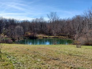 Property photo 31 - REAL ESTATE AUCTION - 30+/- ACRES OFFERED IN 2 TRACTS IN ALLEN COUNTY, INDIANA
