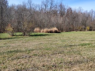 Property photo 33 - REAL ESTATE AUCTION - 30+/- ACRES OFFERED IN 2 TRACTS IN ALLEN COUNTY, INDIANA