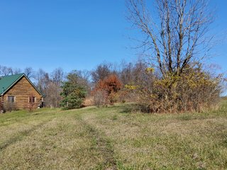 Property photo 34 - REAL ESTATE AUCTION - 30+/- ACRES OFFERED IN 2 TRACTS IN ALLEN COUNTY, INDIANA