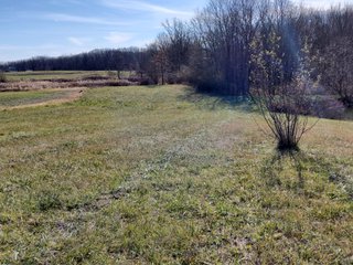 Property photo 35 - REAL ESTATE AUCTION - 30+/- ACRES OFFERED IN 2 TRACTS IN ALLEN COUNTY, INDIANA