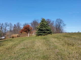 Property photo 36 - REAL ESTATE AUCTION - 30+/- ACRES OFFERED IN 2 TRACTS IN ALLEN COUNTY, INDIANA
