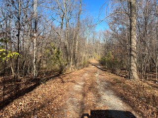 Property photo 37 - REAL ESTATE AUCTION - 30+/- ACRES OFFERED IN 2 TRACTS IN ALLEN COUNTY, INDIANA