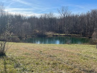 Property photo 39 - REAL ESTATE AUCTION - 30+/- ACRES OFFERED IN 2 TRACTS IN ALLEN COUNTY, INDIANA