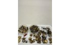 Property photo 440 - TIMED ONLINE ONLY PERSONAL PROPERTY AUCTION IN ALLEN COUNTY, INDIANA