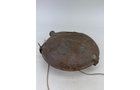 Property photo 5 - TIMED ONLINE ONLY PERSONAL PROPERTY AUCTION IN ALLEN COUNTY, INDIANA