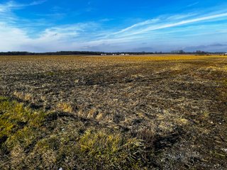 Property photo 4 - LAND AUCTION - 186+/- ACRES OFFERED IN 4 TRACTS IN TIPPECANOE COUNTY, INDIANA