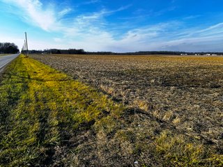 Property photo 5 - LAND AUCTION - 186+/- ACRES OFFERED IN 4 TRACTS IN TIPPECANOE COUNTY, INDIANA