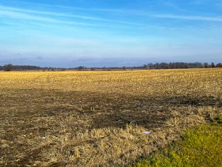 Property photo 8 - LAND AUCTION - 186+/- ACRES OFFERED IN 4 TRACTS IN TIPPECANOE COUNTY, INDIANA