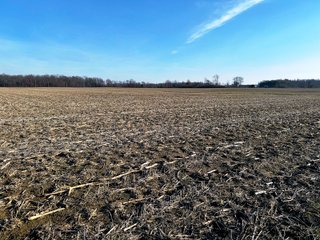 Property photo 11 - LAND AUCTION - 186+/- ACRES OFFERED IN 4 TRACTS IN TIPPECANOE COUNTY, INDIANA