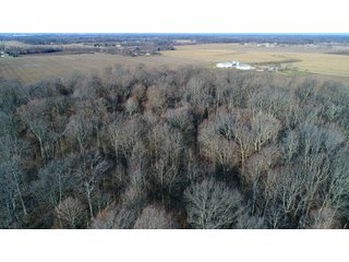 Property photo 15 - LAND AUCTION - 186+/- ACRES OFFERED IN 4 TRACTS IN TIPPECANOE COUNTY, INDIANA
