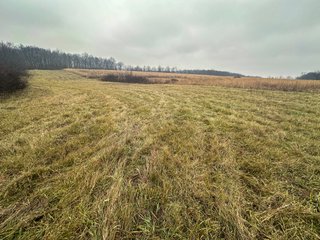 Property photo 12 - LAND AUCTION - 80+/- ACRES OFFERED IN 4 TRACTS IN DEKALB COUNTY, INDIANA