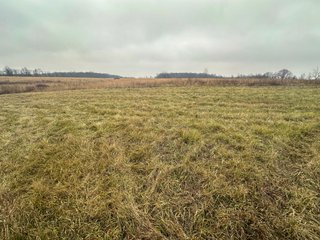 Property photo 13 - LAND AUCTION - 80+/- ACRES OFFERED IN 4 TRACTS IN DEKALB COUNTY, INDIANA