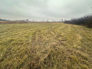 Property photo 14 - LAND AUCTION - 80+/- ACRES OFFERED IN 4 TRACTS IN DEKALB COUNTY, INDIANA