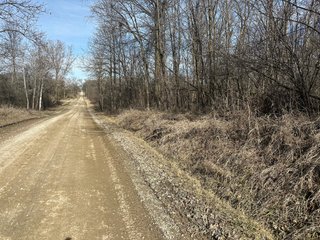 Property photo 16 - LAND AUCTION - 80+/- ACRES OFFERED IN 4 TRACTS IN DEKALB COUNTY, INDIANA