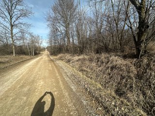 Property photo 17 - LAND AUCTION - 80+/- ACRES OFFERED IN 4 TRACTS IN DEKALB COUNTY, INDIANA
