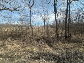 Property photo 18 - LAND AUCTION - 80+/- ACRES OFFERED IN 4 TRACTS IN DEKALB COUNTY, INDIANA