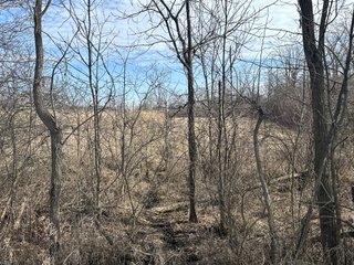 Property photo 19 - LAND AUCTION - 80+/- ACRES OFFERED IN 4 TRACTS IN DEKALB COUNTY, INDIANA