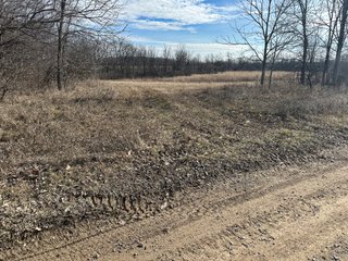 Property photo 21 - LAND AUCTION - 80+/- ACRES OFFERED IN 4 TRACTS IN DEKALB COUNTY, INDIANA