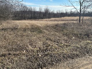 Property photo 22 - LAND AUCTION - 80+/- ACRES OFFERED IN 4 TRACTS IN DEKALB COUNTY, INDIANA