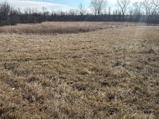 Property photo 23 - LAND AUCTION - 80+/- ACRES OFFERED IN 4 TRACTS IN DEKALB COUNTY, INDIANA