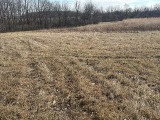 Property photo 24 - LAND AUCTION - 80+/- ACRES OFFERED IN 4 TRACTS IN DEKALB COUNTY, INDIANA