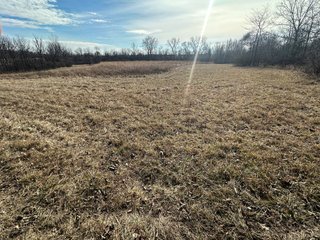 Property photo 25 - LAND AUCTION - 80+/- ACRES OFFERED IN 4 TRACTS IN DEKALB COUNTY, INDIANA