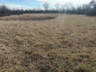 Property photo 26 - LAND AUCTION - 80+/- ACRES OFFERED IN 4 TRACTS IN DEKALB COUNTY, INDIANA