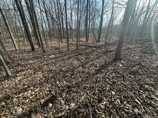 Property photo 27 - LAND AUCTION - 80+/- ACRES OFFERED IN 4 TRACTS IN DEKALB COUNTY, INDIANA