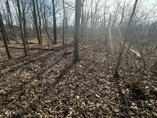 Property photo 28 - LAND AUCTION - 80+/- ACRES OFFERED IN 4 TRACTS IN DEKALB COUNTY, INDIANA