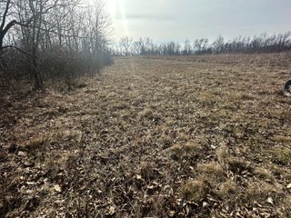 Property photo 29 - LAND AUCTION - 80+/- ACRES OFFERED IN 4 TRACTS IN DEKALB COUNTY, INDIANA