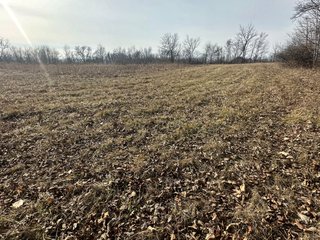 Property photo 30 - LAND AUCTION - 80+/- ACRES OFFERED IN 4 TRACTS IN DEKALB COUNTY, INDIANA