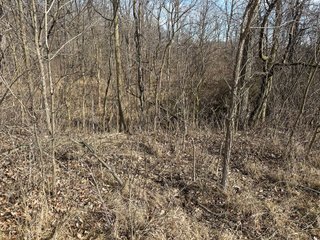 Property photo 31 - LAND AUCTION - 80+/- ACRES OFFERED IN 4 TRACTS IN DEKALB COUNTY, INDIANA