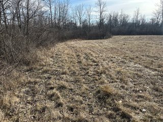 Property photo 32 - LAND AUCTION - 80+/- ACRES OFFERED IN 4 TRACTS IN DEKALB COUNTY, INDIANA