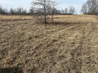 Property photo 33 - LAND AUCTION - 80+/- ACRES OFFERED IN 4 TRACTS IN DEKALB COUNTY, INDIANA