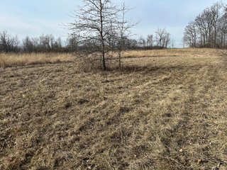 Property photo 34 - LAND AUCTION - 80+/- ACRES OFFERED IN 4 TRACTS IN DEKALB COUNTY, INDIANA