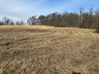 Property photo 35 - LAND AUCTION - 80+/- ACRES OFFERED IN 4 TRACTS IN DEKALB COUNTY, INDIANA