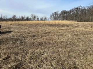 Property photo 36 - LAND AUCTION - 80+/- ACRES OFFERED IN 4 TRACTS IN DEKALB COUNTY, INDIANA