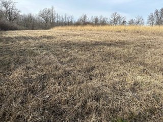 Property photo 37 - LAND AUCTION - 80+/- ACRES OFFERED IN 4 TRACTS IN DEKALB COUNTY, INDIANA