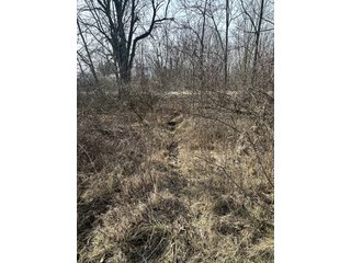 Property photo 38 - LAND AUCTION - 80+/- ACRES OFFERED IN 4 TRACTS IN DEKALB COUNTY, INDIANA