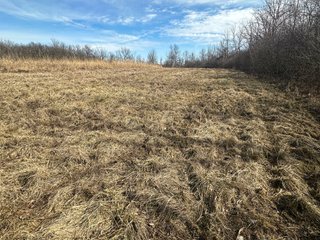 Property photo 39 - LAND AUCTION - 80+/- ACRES OFFERED IN 4 TRACTS IN DEKALB COUNTY, INDIANA