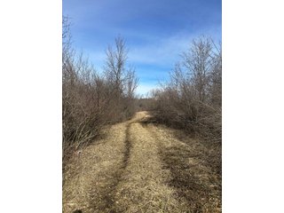 Property photo 41 - LAND AUCTION - 80+/- ACRES OFFERED IN 4 TRACTS IN DEKALB COUNTY, INDIANA