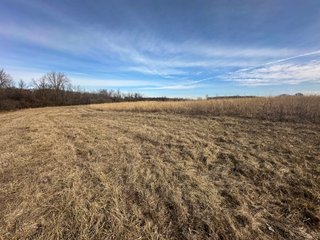 Property photo 42 - LAND AUCTION - 80+/- ACRES OFFERED IN 4 TRACTS IN DEKALB COUNTY, INDIANA