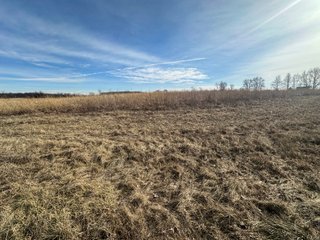 Property photo 43 - LAND AUCTION - 80+/- ACRES OFFERED IN 4 TRACTS IN DEKALB COUNTY, INDIANA