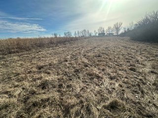Property photo 44 - LAND AUCTION - 80+/- ACRES OFFERED IN 4 TRACTS IN DEKALB COUNTY, INDIANA