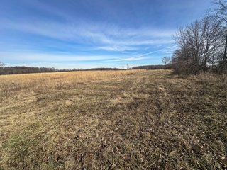 Property photo 46 - LAND AUCTION - 80+/- ACRES OFFERED IN 4 TRACTS IN DEKALB COUNTY, INDIANA